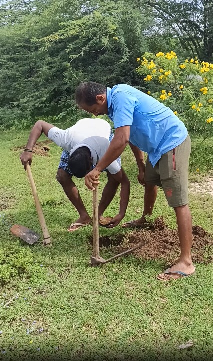 Tree plantation drive with volunteers