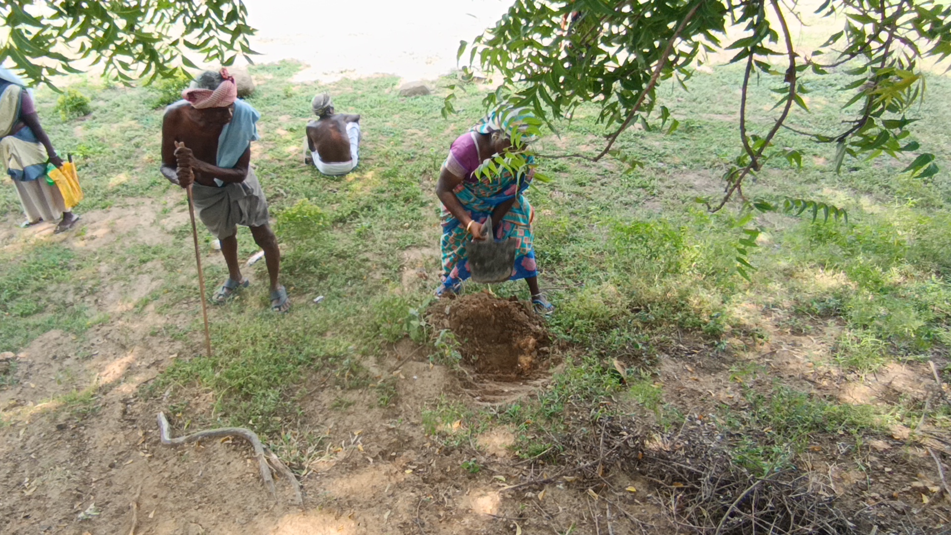 Tree plantation drive with volunteers
