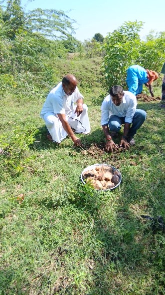 Tree plantation drive with volunteers